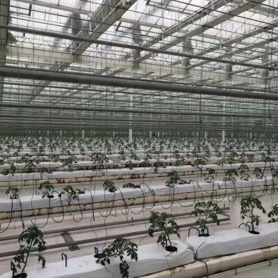 China Stable Structure Easily Assembled High Efficient Mini Hydroponic Tomato Greenhouse / Automatic Hydroponic Growing System Greenhouse for sale