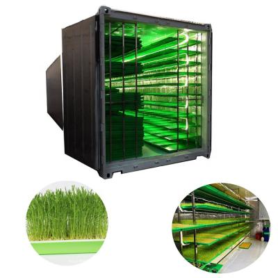 China Wheat Low Cost Green Fodder System Hydroponic Barley Sprout Machine for sale