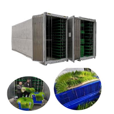 China Container Type 1500kg Farm Horse Forage System Wheat Factory Price Hydroponic Machine for sale