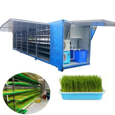 China Wheat container type green fodder sprouting machine hydroponic system for Australia farm use for sale