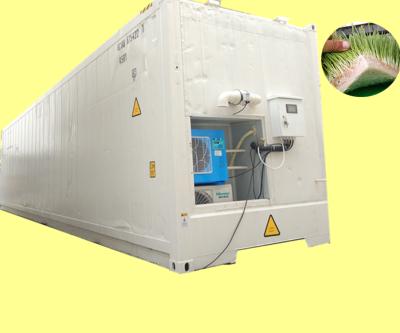 China Hot sale wheat farm using hydroponics 1000kg/d fresh fodder grow machine for livestock green feed for sale