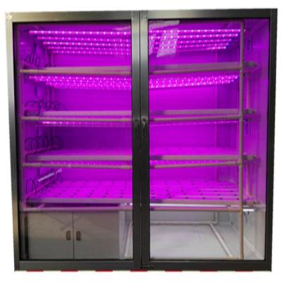 China Green Hot Sale Hydroponic Growing Systems Greenhouse For Green Vegetable for sale