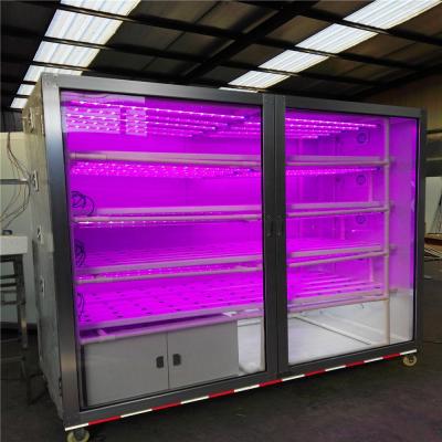 China Indoor Garden /vegetable Seed Planter Greenhouse Hydroponic Vegetable Growing System Greenhouse Machine for sale