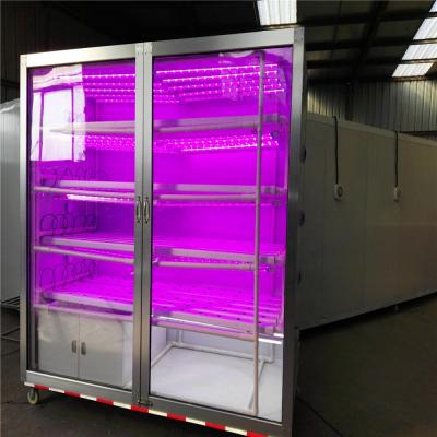 China Green PVC Vegetable Systems Hydroponic Growing Equipment Hydroponic Greenhouse for sale