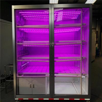 China PVC NFT Green Vertical Fresh Vegetable Hydroponic Farming System In Door for sale