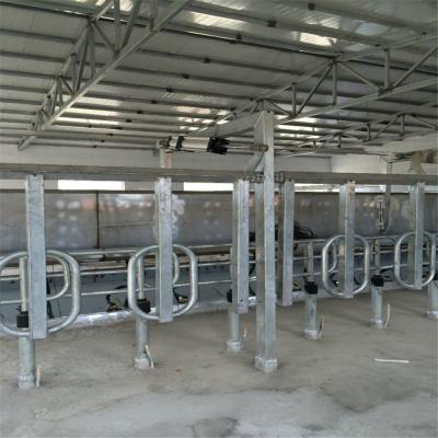 China High efficiency low cost customized farm equipment for cattle a cow cangue optimal quality stable for sale