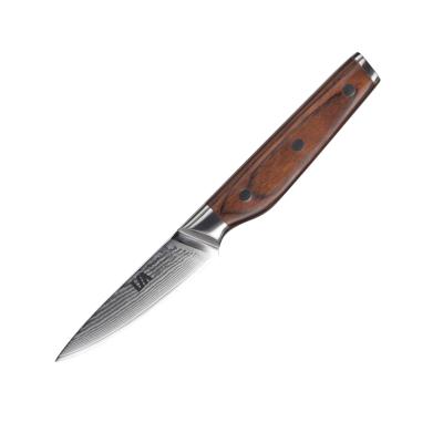 China Sustainable 3.5 Inch Damascus Steel Kitchen Fruit Paring Knife With Pakka Wood Handle for sale