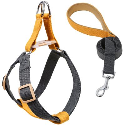 China Factory Stocked Wholesale Custom Size Dog Leash Pet Accession Dog Leash Cotton Dog Harness and Leash for sale