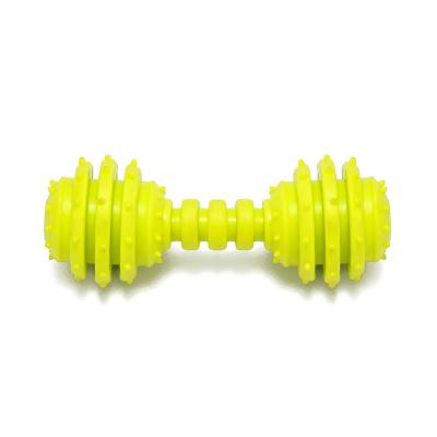 China Durable Viable Pet Toys And Accessories Pet Puppy Chew Toys Safety Dumbbell Design for sale