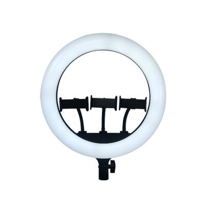 China ABS Factory Selfie LED Ring Lights 14 Inch Beauty Fill Lights with 3 Phone Holder for Livestream for sale