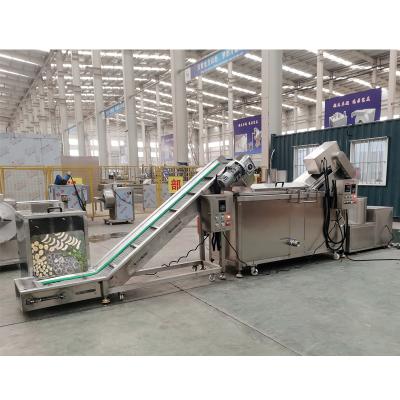 China Automatic Food Processing Machine HONGQIANG French Fries Making Line Green Banana Peeling Machine Banana Fries Whole Line Machinery for sale