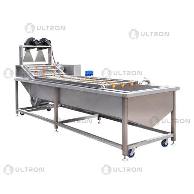 China Hongqiang Industry Easy Operation Fruit/Vegetable Seal Ultrasonic Fruit Processing Line Washing Machine Home for sale