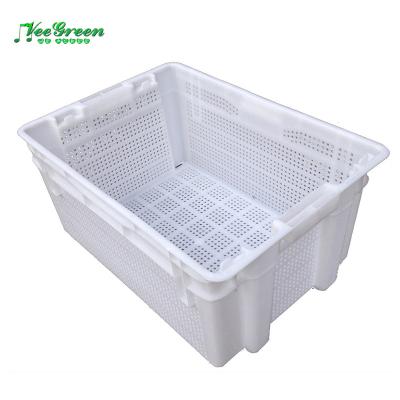 China Mesh Light Durable Mesh Stackable and Stackable Plastic Fruit and Vegetable Crates in Sale for sale