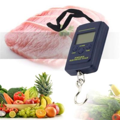 China Fits Logo Back Light Electronic Fishing Weighs Pocket Scale Luggage Scales Hang 50KG Portable Black Weigh Digital Scale for sale