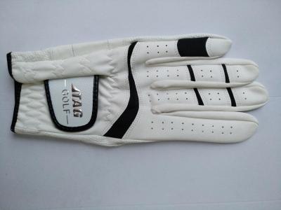 China Golfhandschuh, Golfhandschuhe, Handschuh, Handschuhe zu verkaufen