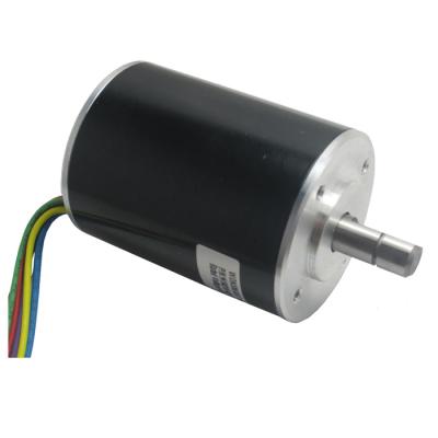 China WS4255-48-55-V200 Totally Enclosed 30 Watt DC Brushless Motor for sale