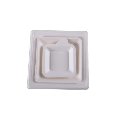 China New Design Disposable Sugar Cane Paper Pulp Cake Food Contact Plate Safe Party Square for sale