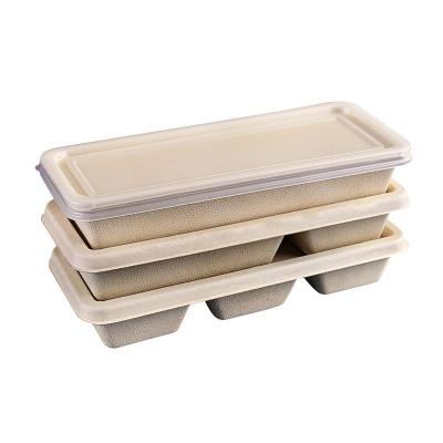 China Food 3 Compartment Pulp Mold Food Box 500ml Disposable Biodegradable Sugarcane Bagasse Box With PP Lid for sale