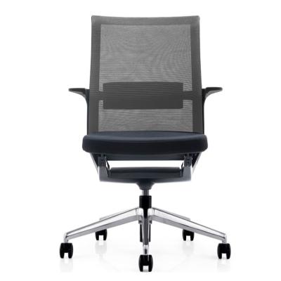 China High Quality Mesh Office Chair Adjustable Lumbar (Height) Support Chair Desk from China Foshan Ergonomic Factory for sale