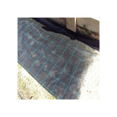 China Agiculture Use Virgin Green Color Weed Mat Material Exporter for sale