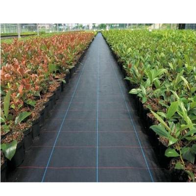 China Agiculture Use Virgin Material Grass Seed Mat Exporter for sale