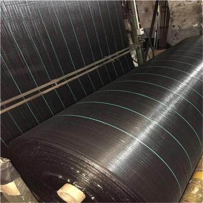 China Agiculture Use Virgin Material Ground Cover Fabric Exporter for sale