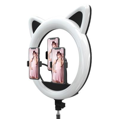 China Hengdefei Factory RK45 ABS+Aluminum Cat Ear Shape Mobile Makeup Ring Light With Tripod Stand 408pcs Led Bulbs Photography Ring Light 18inch for sale