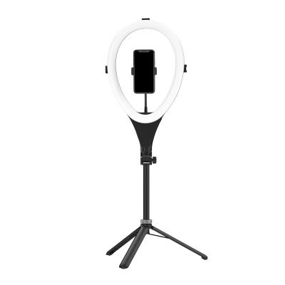 China PORTABLE 14 Inch LED Circle All in One Ring Light with Tripod Stand for Youtube Live Stream Makeup Photographic Visual Lighting for sale