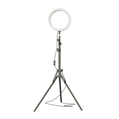 China Metal+ABS RK-42 Quality 12 Inch Height Live Streaming Multifunctional Selfie Light with Tripod Stand Ring Light Photographic Lighting for sale