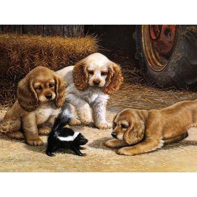 China City Three Modern European Cute Dogs Painting Print Diy Oil Painting By Numbers for sale