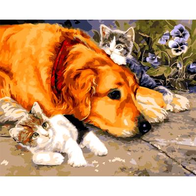 China Oil Painting Modern European Art Cute Cats And Golden Retriever Dog Diy Oil Painting By Numbers for sale