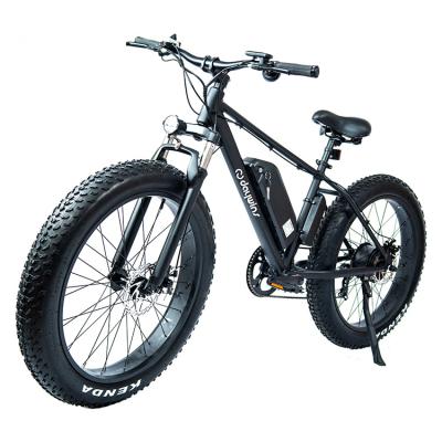 China Aluminum High End Fat Tire 750W Electric Bike MTB Bicycle With Brushless Motor for sale