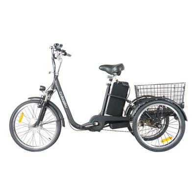 China Cargo bicycle made in China Italian electric tricycle 36v250w electric tricycle with basket electric tricycle cargo car scooter for sale