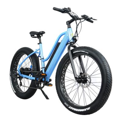 China Best Price Aluminum Alloy Traditional Fat Two Wheels Two Seat Tire Not Folding Electric Bike for sale