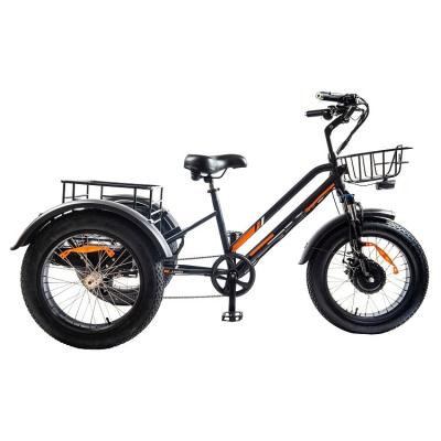 China Fat Tire Cargo 48V 18.2Ah E Trike 750W Lithium Battery Electric Trike Trike 3 Wheel Electric Cargo Trike For Adult for sale