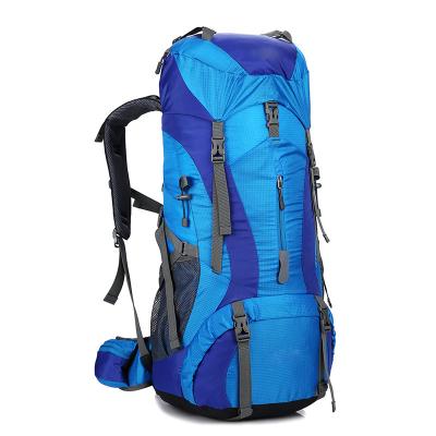 China Large Capacity Daypack Backpack Waterproof Backpacking Backpacking Bag for sale