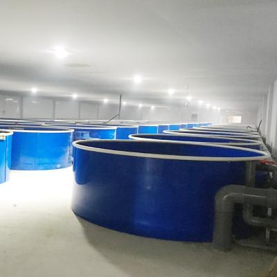 China RAS Recycling Aquaculture Pond Ras System Ras System Farming System, Aquaculture Shrimp Tilapia Fish Farming Equipment for sale