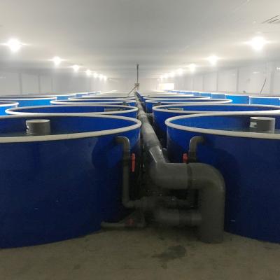 China Sustainable Customized Indoor Aquaculture Systems Fish Farm Recycling Tanks for sale