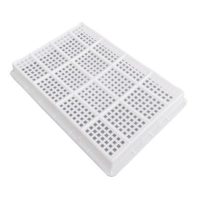 China Environmental And Strong Enough Plastic Greenhouse Hydroponic Nursery Plant Tray With Different Color for sale