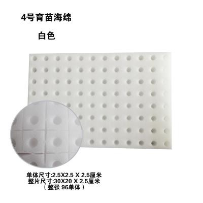 China 300*200*25mm Hydroponic Seedling Germination Sponge With Good Quality for sale