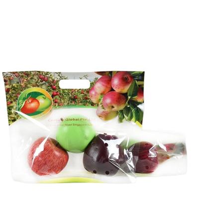 中国 Moisture Proof Packaging Fruit Packing Fresh Vegetable Bag Holder Zipper 販売のため