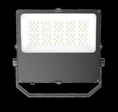 China ROAD Durable Using Aluminum Casing 100W Waterproof Led Flood Lamp Light for sale