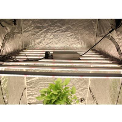 China Seed Starting Hot Sale 8 Bars 600W Led To Grow Light for sale