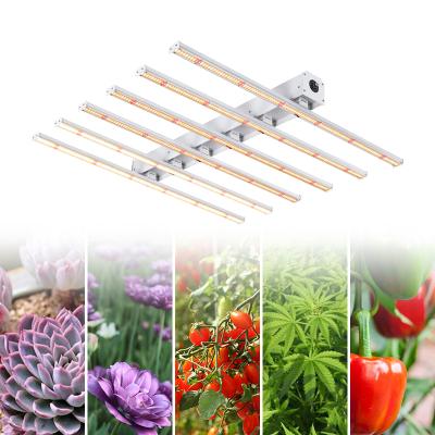 China Seed Starting USA Stock Warehouse November Promotion 6 Bars Led Grow Light for sale