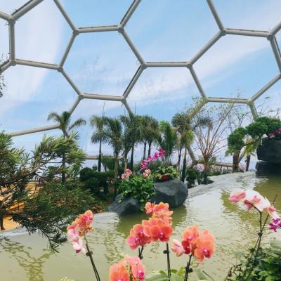 China High Self-cleaning ETFE Growing Inflatable Greenhouse Membrane Structure for sale