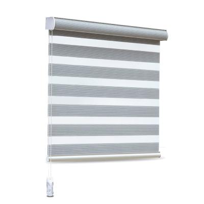 China Minimalist Customize Cordless Zebra Blinds Blackout Window Daytime Night Blinds Motorized Shades Shutters for sale