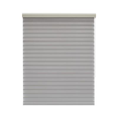 China Motorized Minimalist Blackout Blinds Window Blind Shangrila Smart Blind Box For Windows for sale