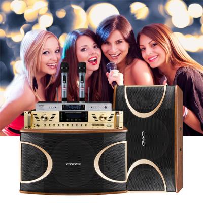 China High quality home party Karaoke sound system home theatre system with amplifier speaker Wireless microphone for sale