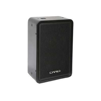 Κίνα High Quality 250w Conference Pa System Speaker 4