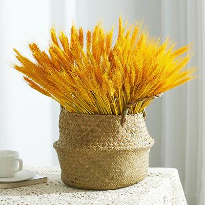 China Real Factories Wholesales Artificial Pampas Grass Plume Decor Fluffy Reed Wedding Flower for Kitchen Room Home Decoration for sale